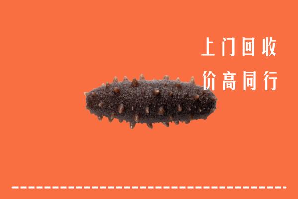 高价求购：酒泉市回收海参